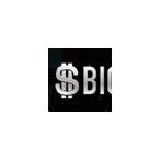 bet big dollar codes